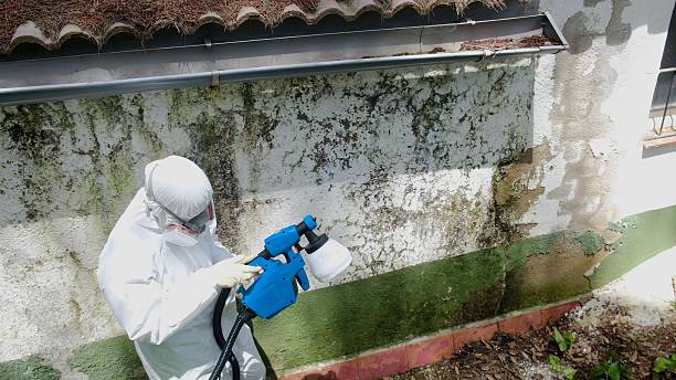 Top rated local Mold Remediation specialists in Flint Hill, VA